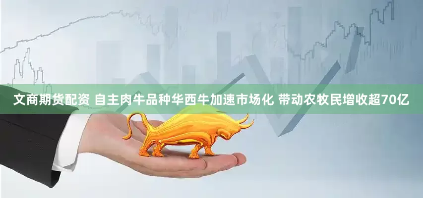 文商期货配资 自主肉牛品种华西牛加速市场化 带动农牧民增收超70亿